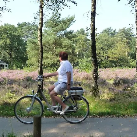 Familiehuis De Erica - 12 P Feriehus Otterlo