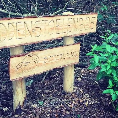 Familiehuis De Erica - 12 P Feriehus