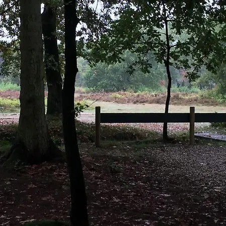 Feriehus Familiehuis De Erica - 12 P *