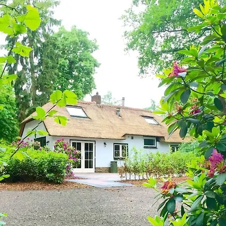 Feriehus Familiehuis De Erica - 12 P