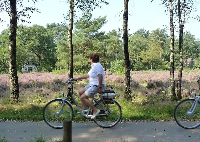 Familiehuis De Erica - 12 P בית נופש אוטרלו