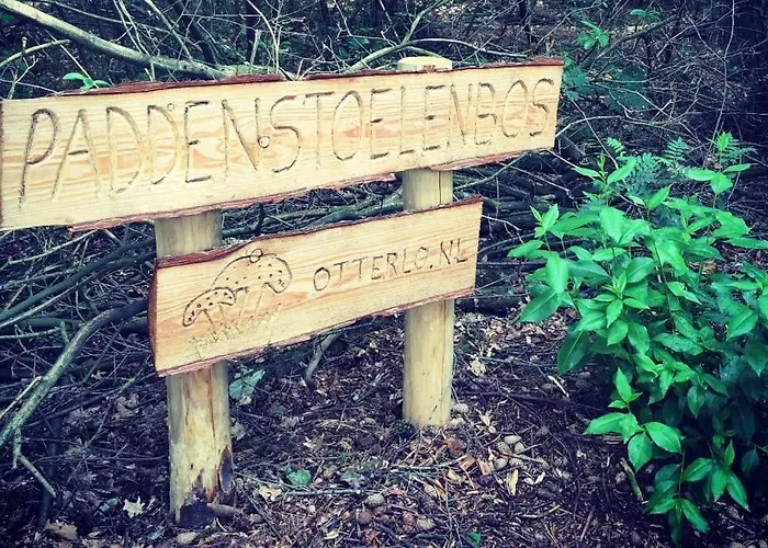 Familiehuis De Erica - 12 P בית נופש