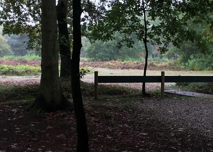 בית נופש Familiehuis De Erica - 12 P *