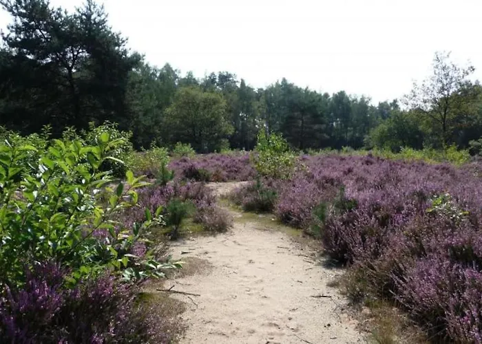 בית נופש Familiehuis De Erica - 12 P *